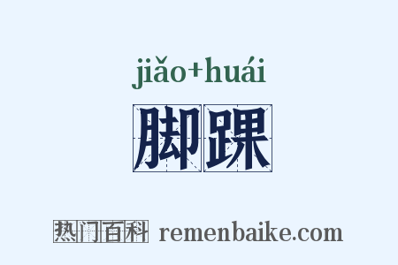 脚踝是什么意思的图片